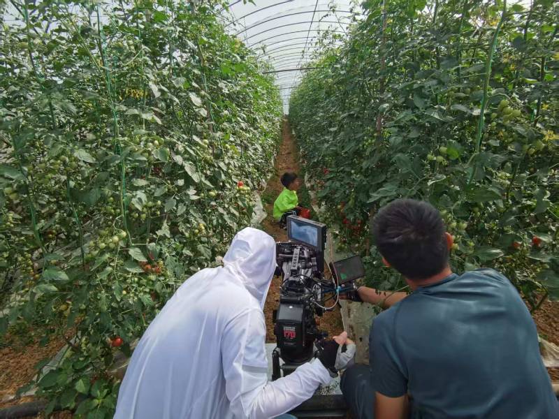 文登市产品宣传视频拍摄公司进阶指南，助力品牌抢占传播高地